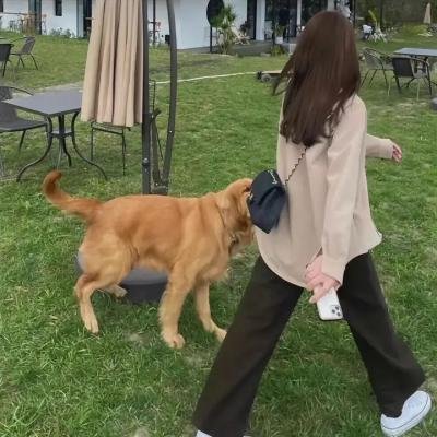 倾听不列颠